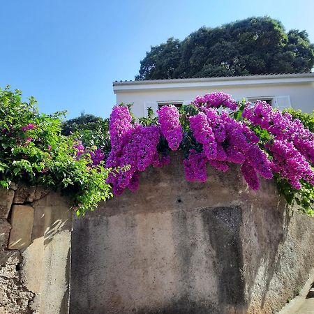 Apartman Pia Mali Lošinj Dış mekan fotoğraf
